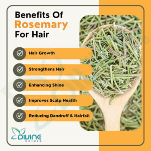 divine nature organic dried rosemary leaves for hair growth | food grade quality for seasoning food, hair and herbal tea | dust free | ideal for making rosemary water & oil