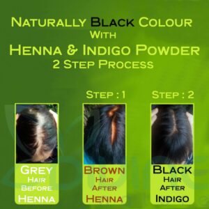divine nature organic indigo leaves powder for black hair colour
